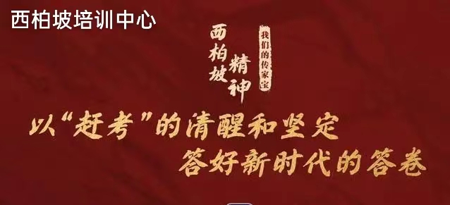 子页banner大图